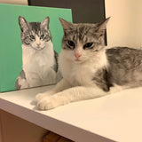 A gray and white felt cat finger puppet, named "Mochi," rests on a white surface, appearing soft and lifelike. Behind it, a painting of the same cat is displayed against a green backdrop, enhancing the domestic setting. This handcrafted felt finger puppet beautifully captures the cat's features, evoking warmth and connection.