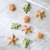 The wool felt Starfish Garland, displaying a whimsical coastal theme, rests on a white marble surface. It features alternating wool felt starfish, seaweed, and seashells connected by a thin white string. The starfish are light brown with dark brown spots, the seaweed is green with darker green spots, and the seashells are light brown with white accents and delicate stitching.
