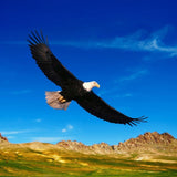 A needle felted eagle finger puppet is captured soaring against a bright blue sky with scattered clouds, above a landscape of rolling green hills and rocky mountains. This handcrafted wool eagle puppet features a dark brown body, a white head with fluffy hair, and a tan tail, with wings spread wide, evoking freedom and majesty.