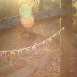 A vibrant wool felt color ball garland is draped horizontally across a rustic wooden fence, bathed in sunlight. This decorative felt garland features fuzzy, spherical 100% wool felt balls in pink, yellow, green, white, and blue. The colorful balls are evenly spaced on a natural fiber cord, creating a whimsical and playful ambiance against sunlit grass and foliage.