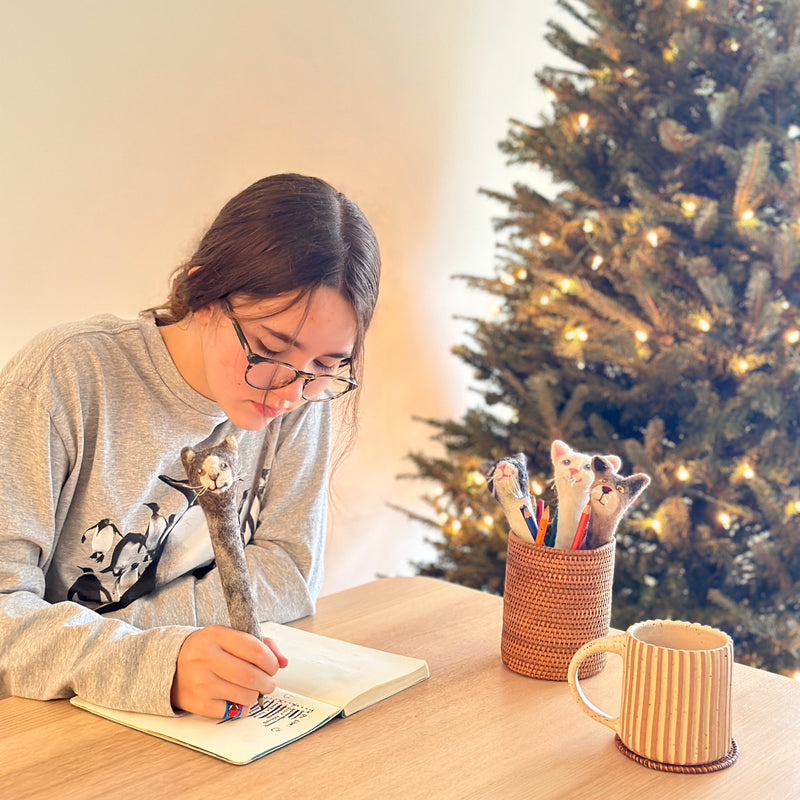 Felt Gray Tabby Cat Pen Cover