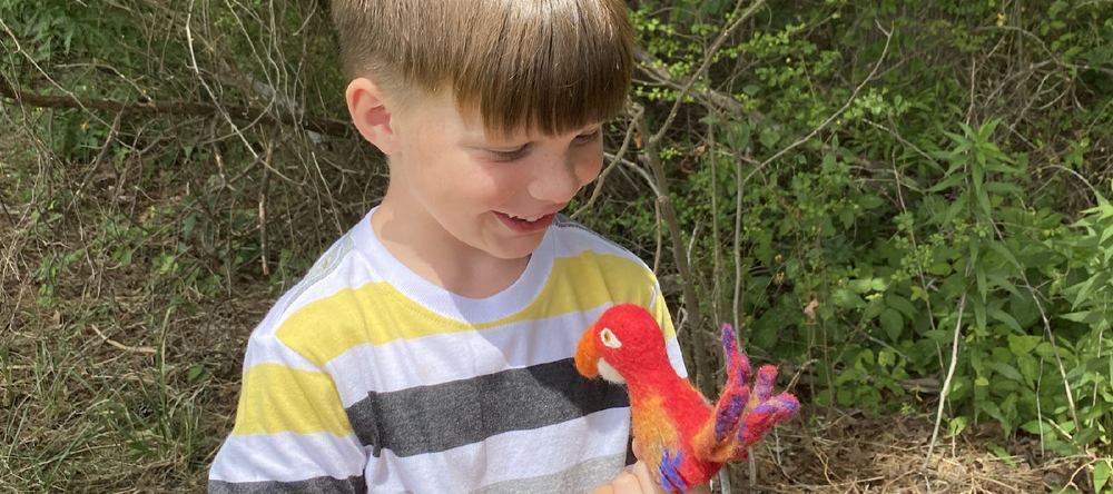A close look at a colorful red and orange felt parrot finger puppet being held and admired by a smiling young boy in a natural outdoor setting.