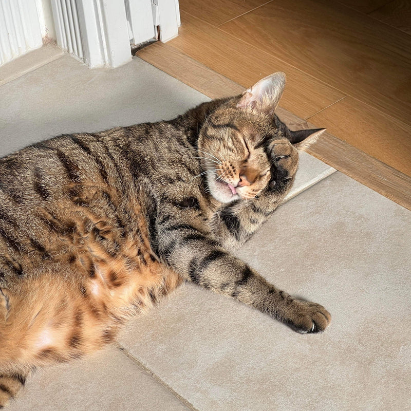 A brown tabby cat felt finger puppet, named "Huhu," rests peacefully on a light-colored tiled floor, with a white door frame and light wooden floor in the background, creating a cozy scene. This handmade felt finger puppet features a detailed tabby pattern of brown and black stripes and a unique love-shaped nose. Depicted asleep with one paw near its face, its soft, plush texture and relaxed pose evoke contentment.