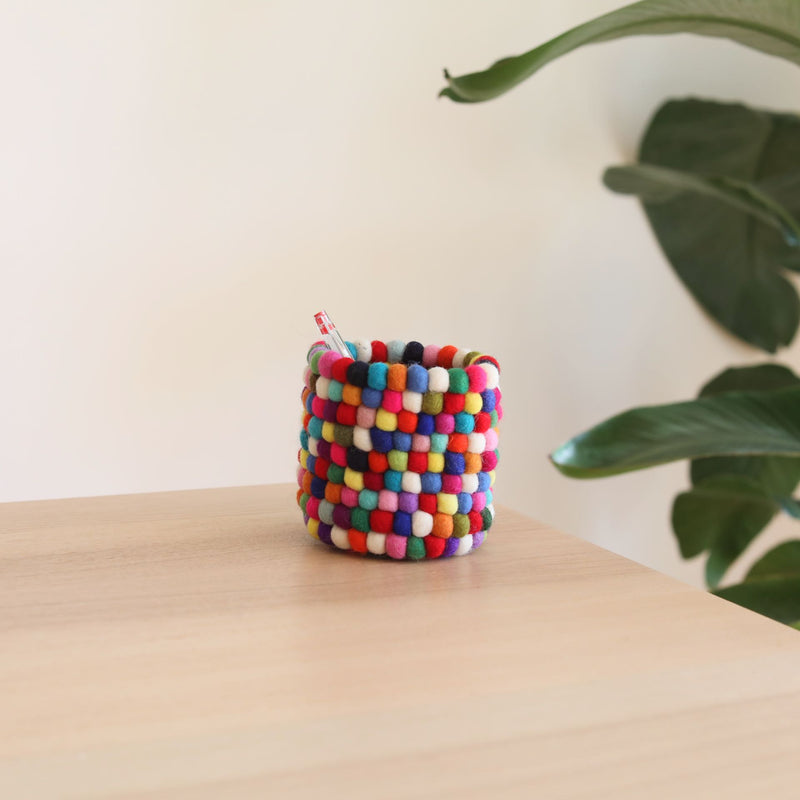 Felt Pompom Pen Holder