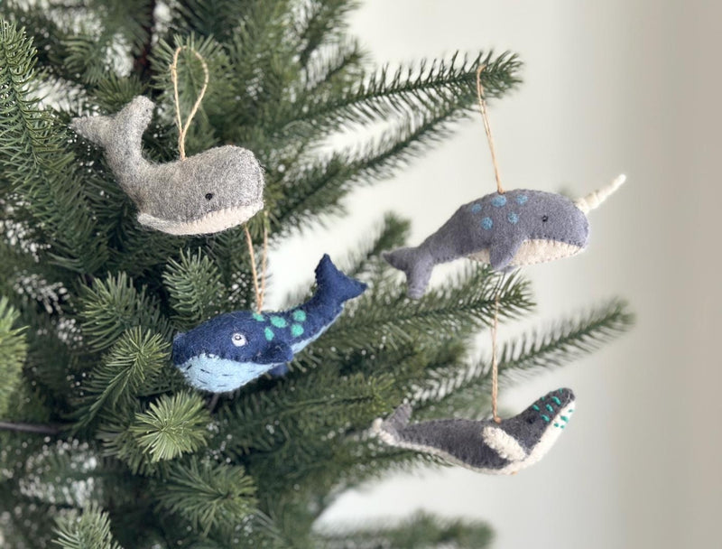 Four felt sea animal ornaments, featuring a gray humpback whale, gray narwhal, dark blue-gray whale, and gray pygmy sperm whale, are playfully displayed on a Christmas tree. The humpback whale has a light gray belly and tiny black eye. The narwhal features a pointy horn, blue spots, and a light gray belly. The other whales have charming teal green details. Each unique ornament, suspended by a jute string, adds a cheerful touch to the festive tree.