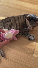 Felt Ornament - Flying Pig