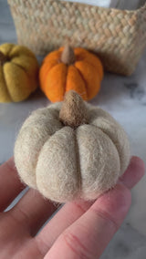 Felt Toy - Little Pumpkins