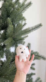 Maltese Dog Finger Puppet