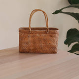A light brown woven rattan handbag rests on a surface, its textured weave pattern visible. The bag has two handles for carrying and a spacious interior. In the background, a plant and wooden wall create an indoor setting.