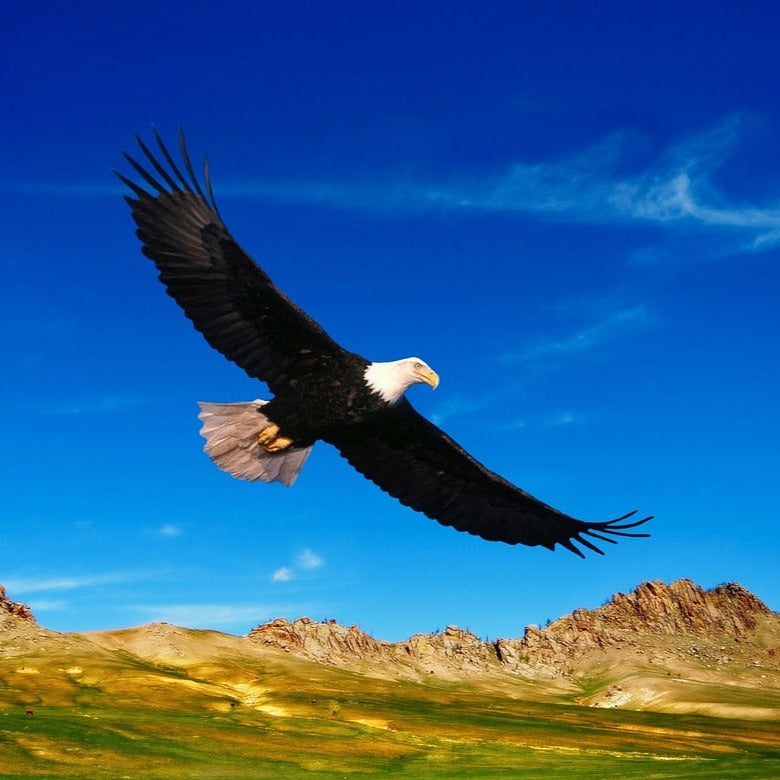 A needle felted eagle finger puppet is captured soaring against a bright blue sky with scattered clouds, above a landscape of rolling green hills and rocky mountains. This handcrafted wool eagle puppet features a dark brown body, a white head with fluffy hair, and a tan tail, with wings spread wide, evoking freedom and majesty.