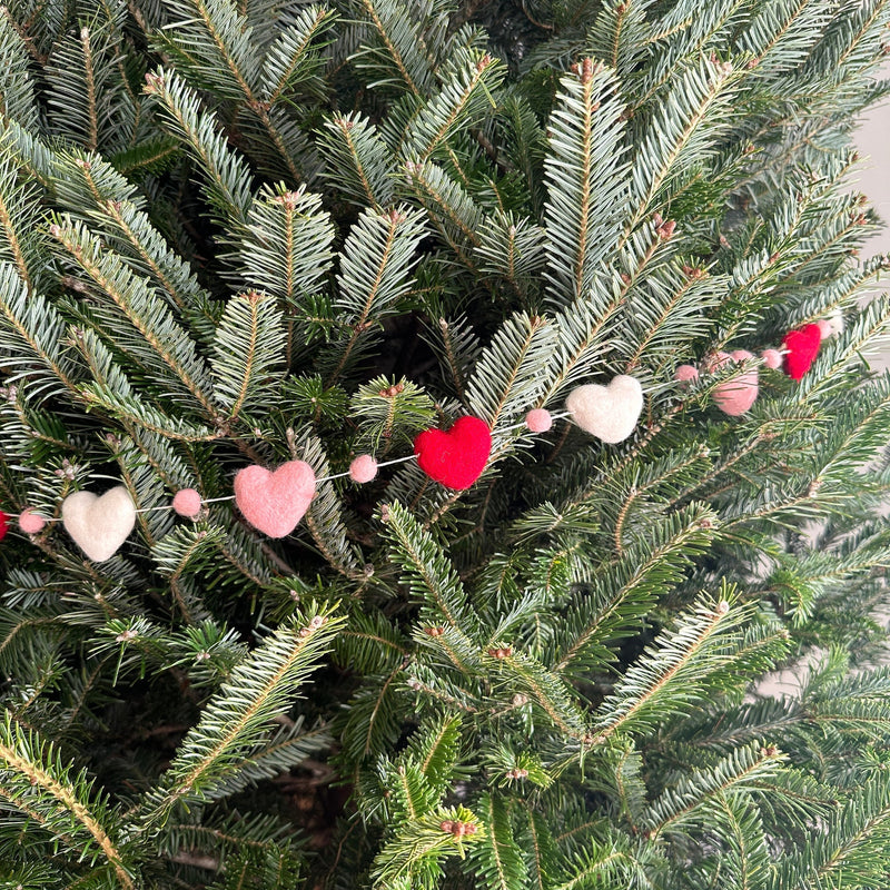 A wool felt love garland is draped across a green Christmas tree. This soft, felted garland features alternating felt balls in a festive pattern of red, blush pink, and white, strung along a thin white string, creating a cozy atmosphere.