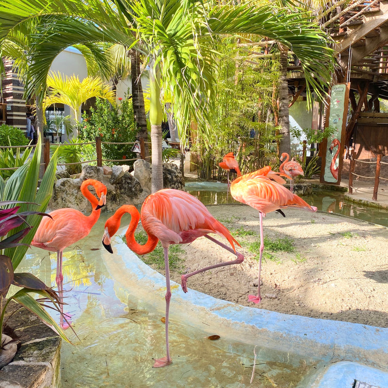 A needle-felted flamingo finger puppet, crafted from soft material, is shown. It features an iconic bright pink color, a distinctive peak, and long, lanky legs.